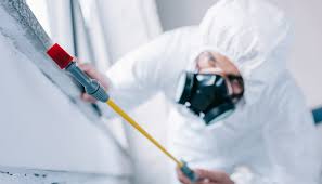 Best Residential Pest Control  in Brownville, NJ